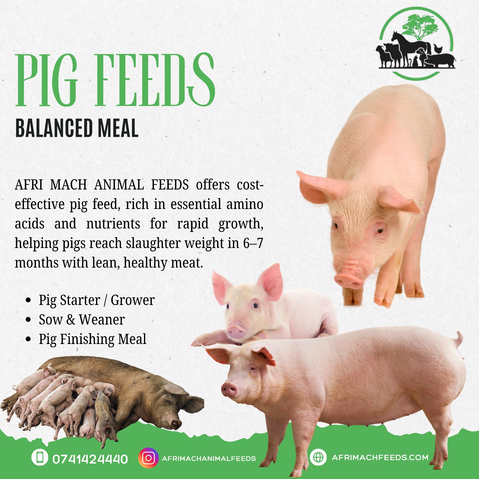 Pig Feeds