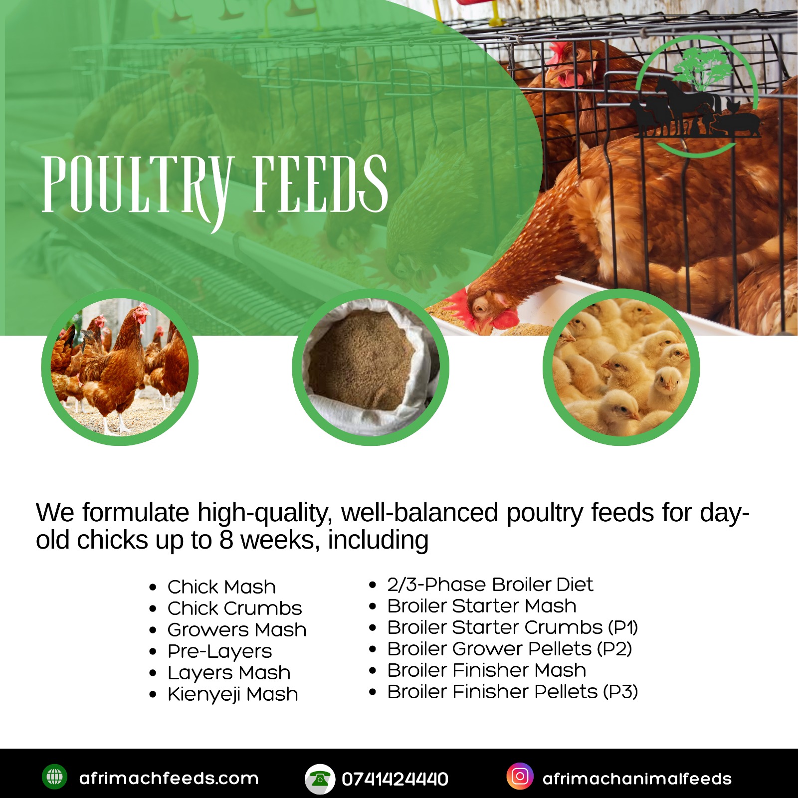 Poultry Feeds