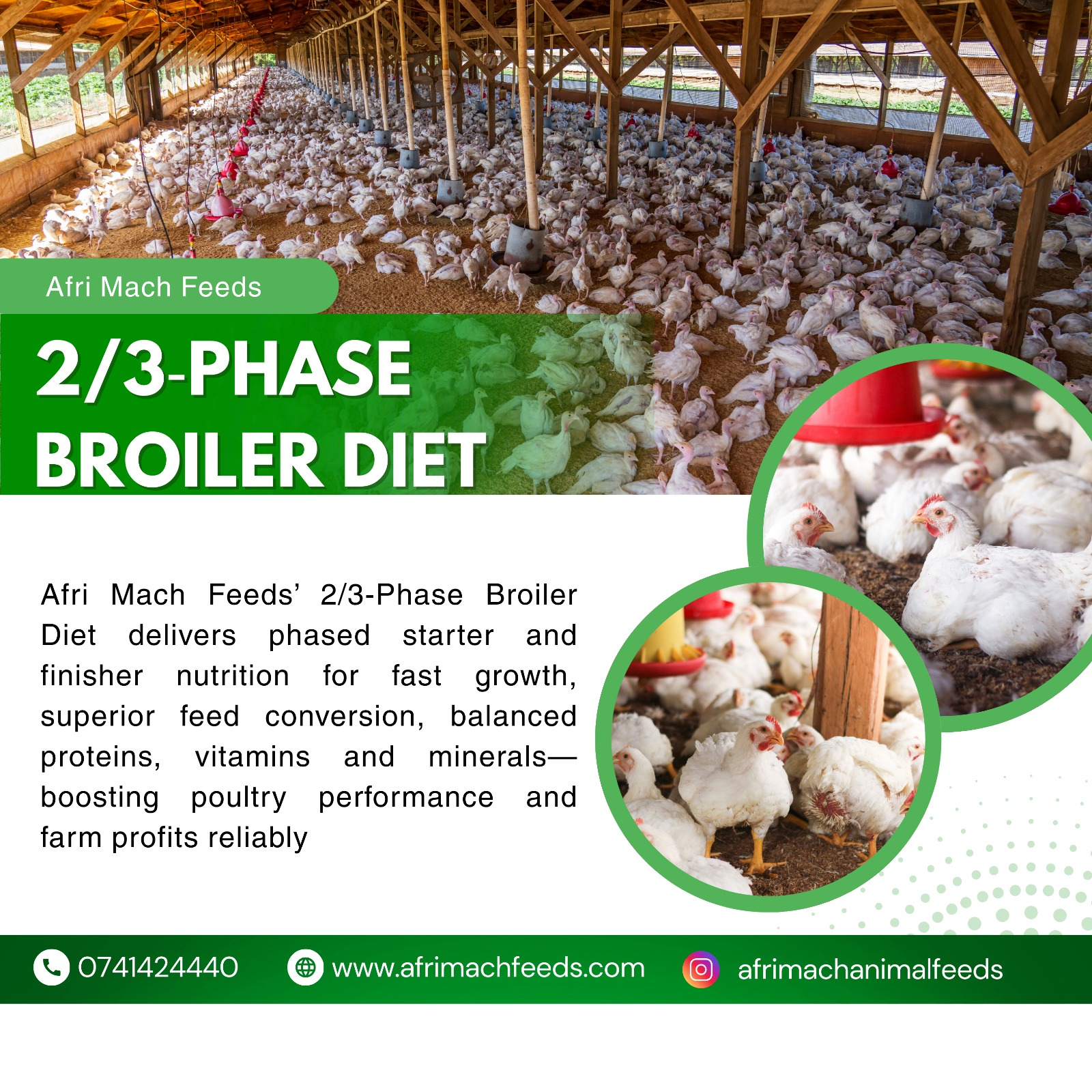 2/3‑Phase Broiler Diet