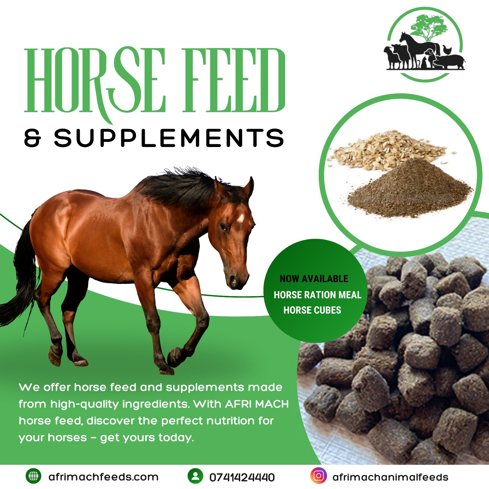 Horse Feeds